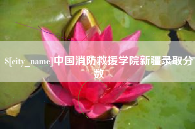 当阳中国消防救援学院新疆录取分数