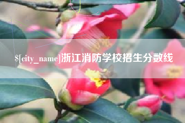 当阳浙江消防学校招生分数线