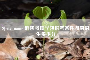当阳消防救援学院报考条件湖南招生多少分