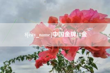 当阳中国金牌18金