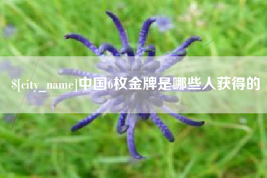 当阳中国6枚金牌是哪些人获得的