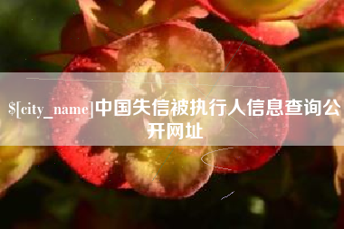 当阳中国失信被执行人信息查询公开网址