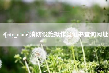 当阳消防设施操作员证书查询网址