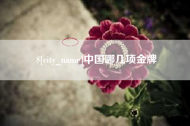 当阳中国哪几项金牌