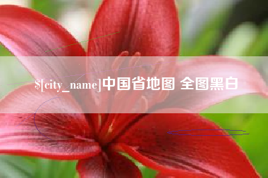 当阳中国省地图 全图黑白