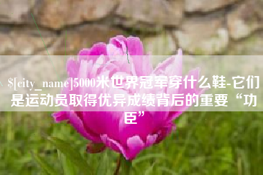 当阳5000米世界冠军穿什么鞋-它们是运动员取得优异成绩背后的重要“功臣”