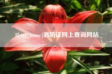 当阳消防证网上查询网站