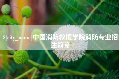 当阳中国消防救援学院消防专业招生简章