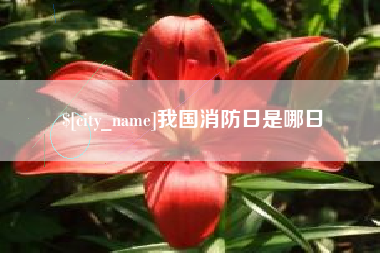 当阳我国消防日是哪日