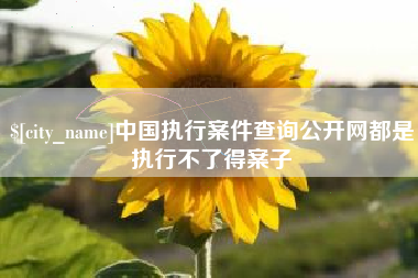 当阳中国执行案件查询公开网都是执行不了得案子