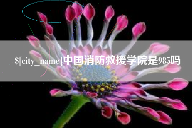 当阳中国消防救援学院是985吗