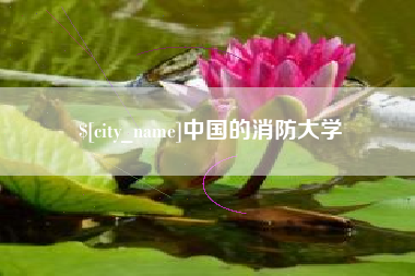 当阳中国的消防大学