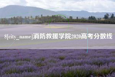 当阳消防救援学院2020高考分数线