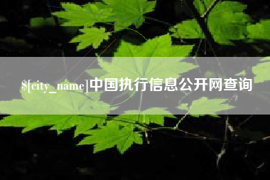 当阳中国执行信息公开网查询