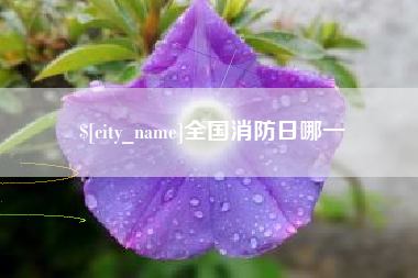 当阳全国消防日哪一