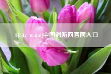 当阳中国消防网官网入口