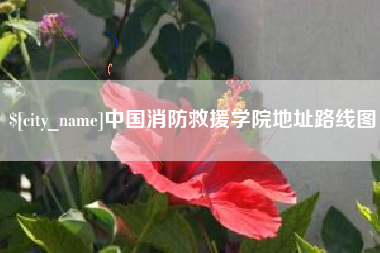 当阳中国消防救援学院地址路线图