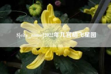 当阳2022年九宫格飞星图