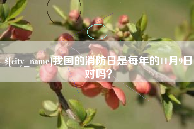 当阳我国的消防日是每年的11月9日对吗？