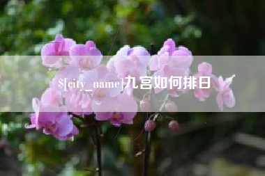 当阳九宫如何排日