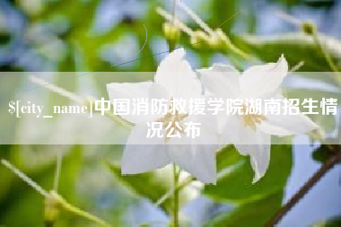 当阳中国消防救援学院湖南招生情况公布