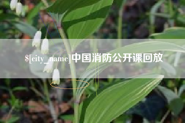 当阳中国消防公开课回放