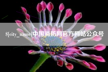 当阳中国消防网官方网站公众号