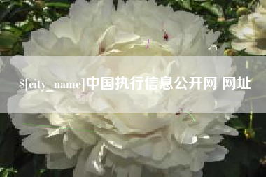 当阳中国执行信息公开网 网址