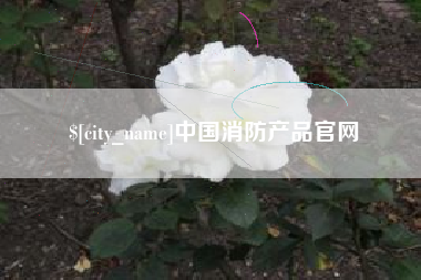 当阳中国消防产品官网