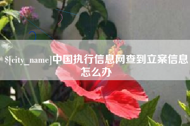 当阳中国执行信息网查到立案信息怎么办