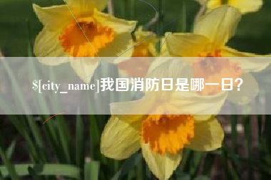 当阳我国消防日是哪一日？