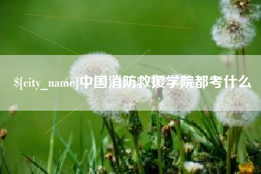 当阳中国消防救援学院都考什么