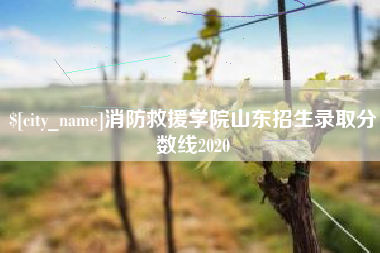 当阳消防救援学院山东招生录取分数线2020
