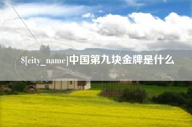当阳中国第九块金牌是什么