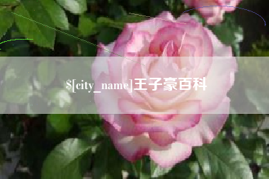 当阳王子豪百科