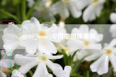 当阳中国地图像素版
