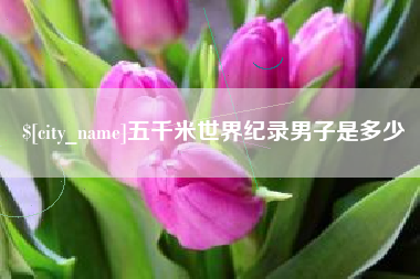 当阳五千米世界纪录男子是多少