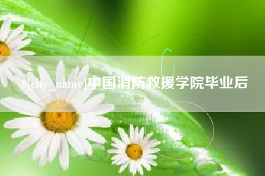 当阳中国消防救援学院毕业后