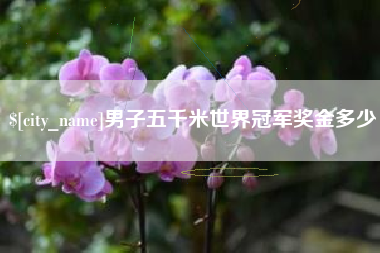 当阳男子五千米世界冠军奖金多少