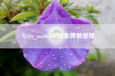 当阳中国金牌都是啥