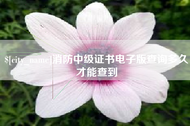 当阳消防中级证书电子版查询多久才能查到
