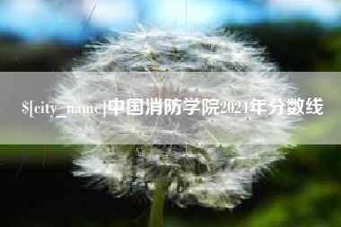 当阳中国消防学院2024年分数线