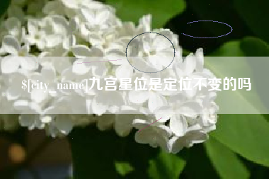 当阳九宫星位是定位不变的吗