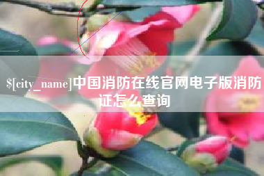 当阳中国消防在线官网电子版消防证怎么查询
