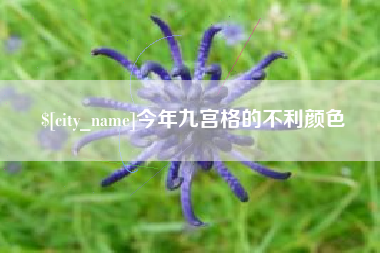 当阳今年九宫格的不利颜色