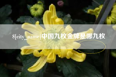 当阳中国九枚金牌是哪九枚