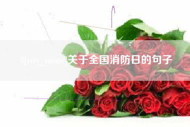 当阳关于全国消防日的句子