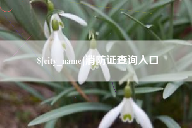 当阳消防证查询入口