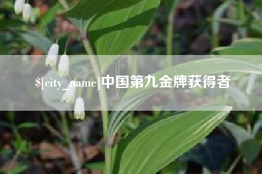 当阳中国第九金牌获得者
