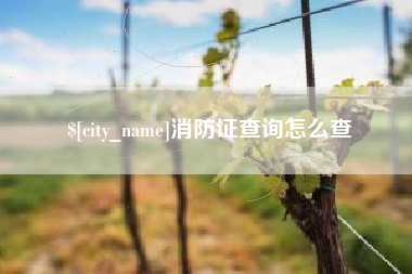当阳消防证查询怎么查
